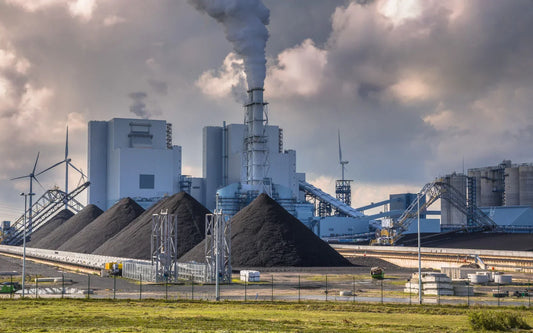 Cement vs Adhesive: When to Use Each in Modern Construction